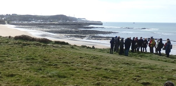 Kan on windswept beach