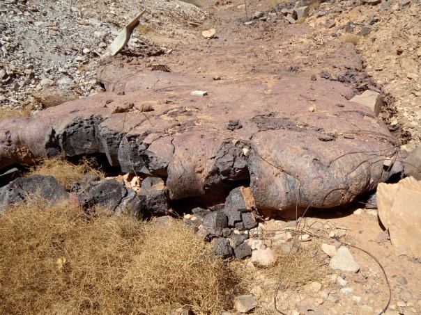 DSCN1013 Lave CRIIRAD In EKKEr