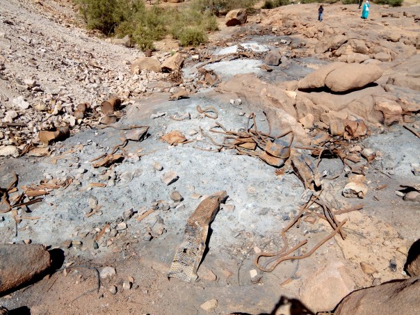 DSCN1071 Brulage CRIIRAD in Ekker