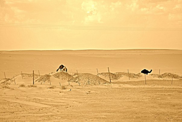 Saudi desert