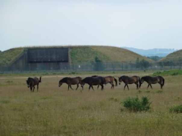 Greenham silos+ponies