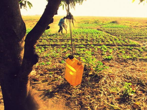 Subsistence_Farming_in_Zambia