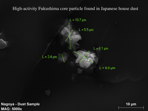 Hot Radioactive Rocks Dangerous radioactive hot particles span the globe | Beyond Nuclear ...