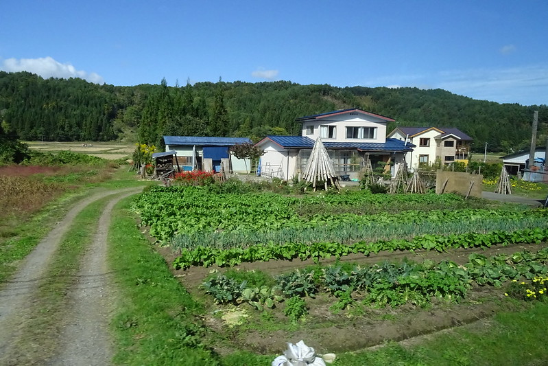 Fukushima farm